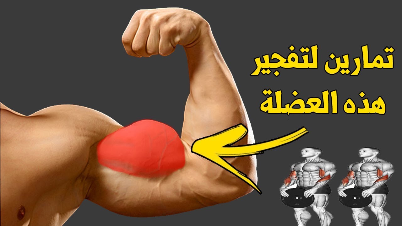 اقوى تمارين الدراع كاملة (الجزء الاول) تمارين الباى كمال الاجسام