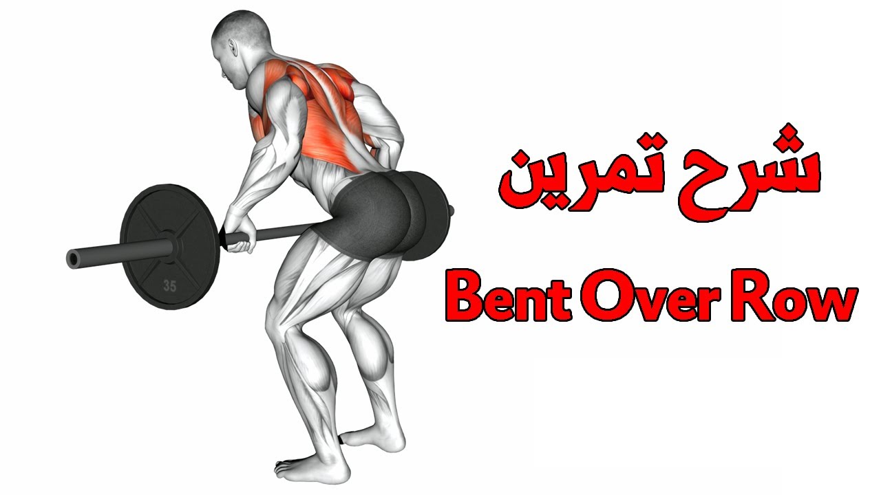 شرح تمرين bent over row  تمرين عضلات الظهر