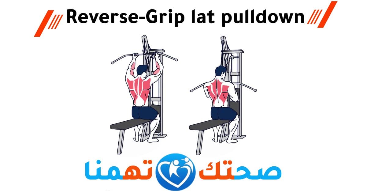 Reverse-Grip lat pulldown تمارين الظهر