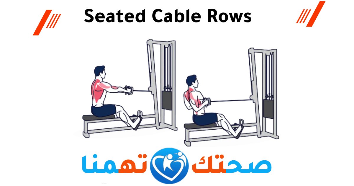 Seated Cable Rows تمرين ظهر