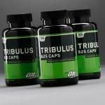 مكمل التريبولوس Optimum Nutrition Tribulus 625