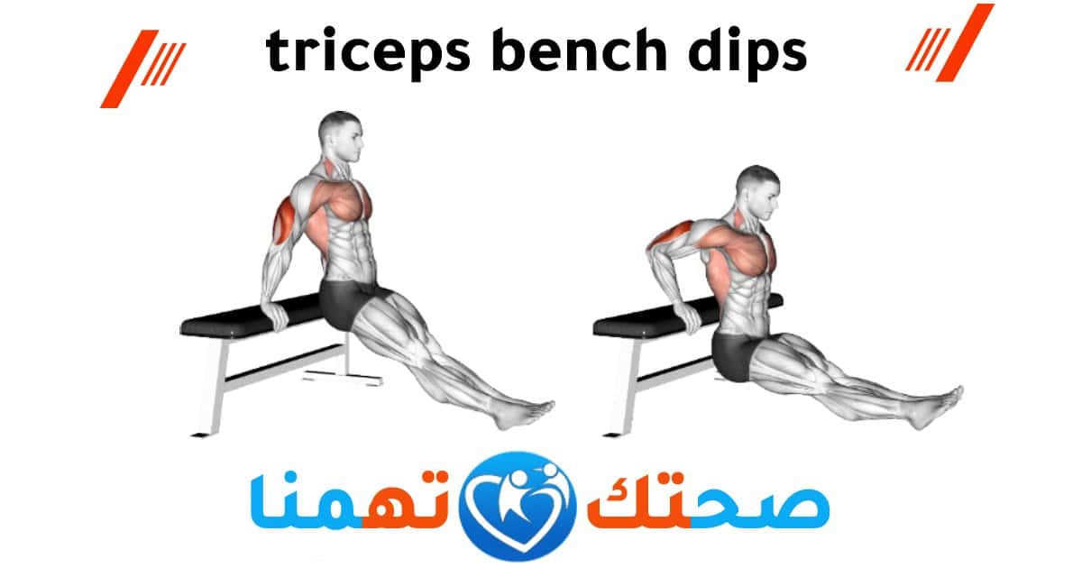 triceps bench dips تمارين تراي
