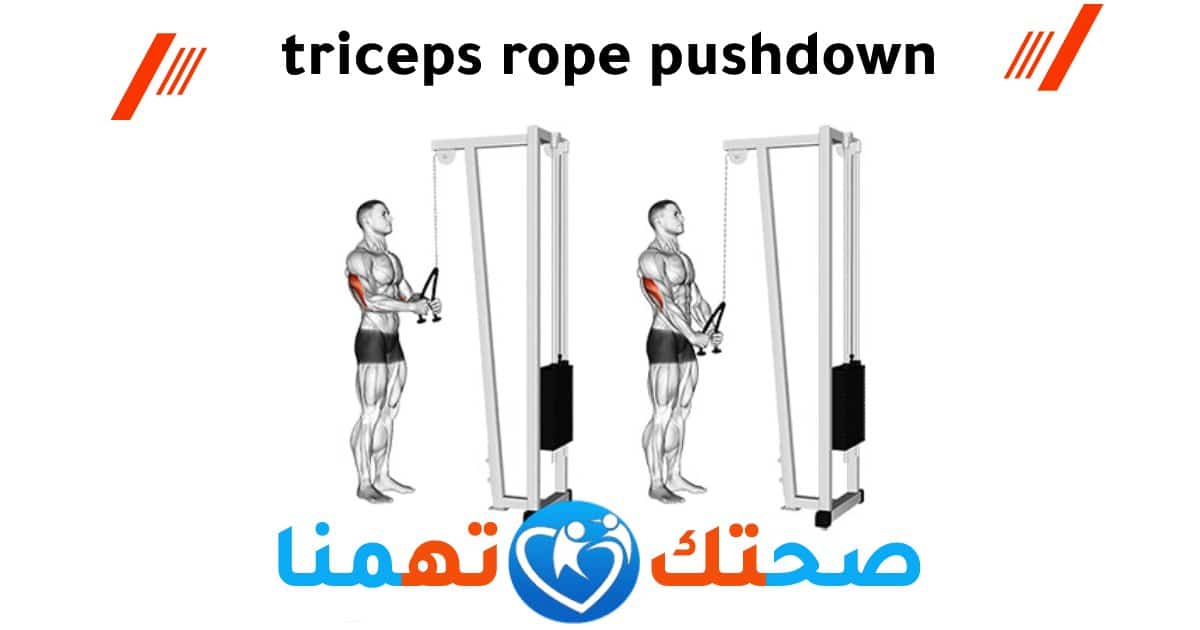 تمرين تراي
triceps rope pushdown