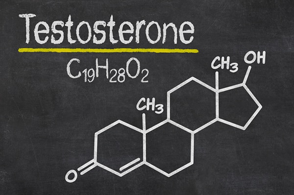 هرمون التستسترون testosterone