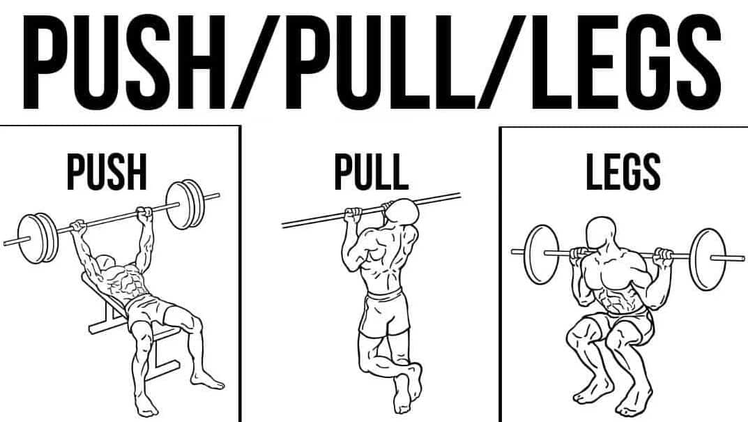 برنامج push pull legs