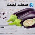 الباذنجان فى الكيتو