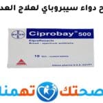 سيبروباي ciprobay